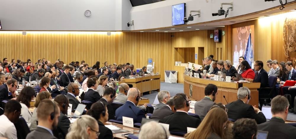 MEPC_83_April_2025_credit_IMO_webinsert.jpg