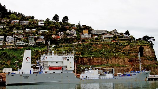 Image:A cement carrier operating on a New Zealand coastal route. Image: Wikimedia Commons