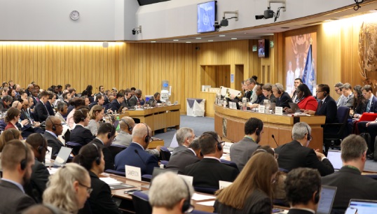 MEPC 83 – a 'fraught' session of the International Maritime Organization's environmental committee. Image: IMO Image:MEPC 83 – a 'fraught' session of the International Maritime Organization's environmental committee. Image: IMO